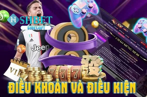 Cách Tìm Hiểu Và Tuân Thủ Điều Khoản Và Điều Kiện SHBET