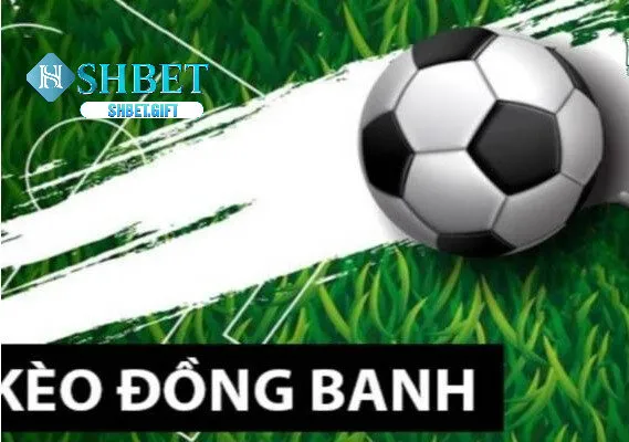 Kèo Đồng Banh SHBET - Lựa Chọn Hoàn Hảo Cho Người Chơi Cá Cược